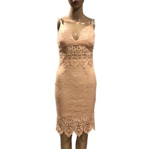 ENTRY: blush lace midi dress